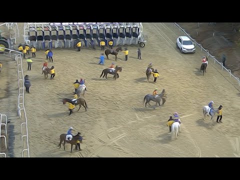 9/5-(금)-손석범-부메(20.1배)+22.9배[가야할마필]선행쏜다/분명한이유/다적중+중배당까지..!!