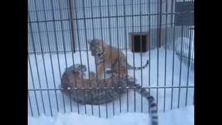 База отдыха рыболов-профи - сургут