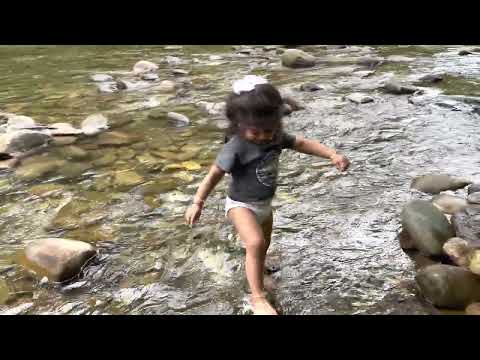 Raizel playing in river 08/21/2022