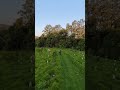 Horse Riding Drone Shot With The Insta360 X4