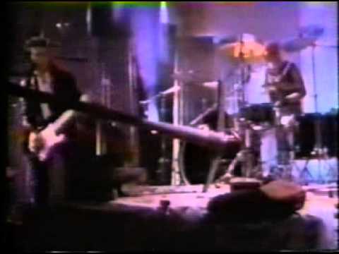 Cactus World News - Years Later