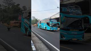 Download lagu Telolet Si Udin #busmania #basuri #telolet #shorts mp3 Download lagu Telolet Si Udin #busmania #basuri #telolet #shorts mp3