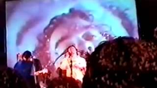 Flaming Lips "When You Smile" Live 2000