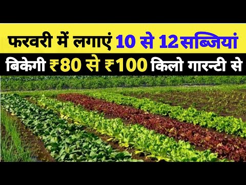 , title : 'vegetables to plant in February in india 10 crops to sow in grow hindi फरवरी में कौन सी सब्जी लगाएं'