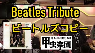 Old Brown Shoe (The Beatles Cover)