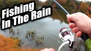 Fall Fishing From The Bank In The RAIN (Realistic Crankbait Fishing)