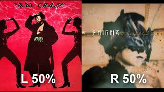 Download lagu Seal - Crazy vs. Enigma - Modern Crusaders mp3