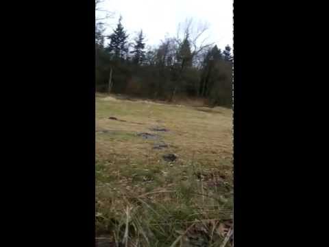 Bogen test schießen