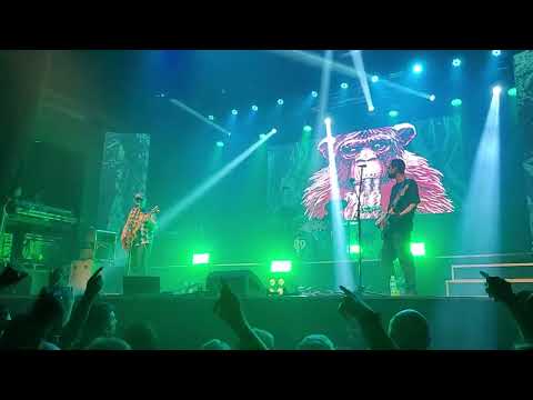 La Mono - Licor de Ayer (Groove 07-12-23)