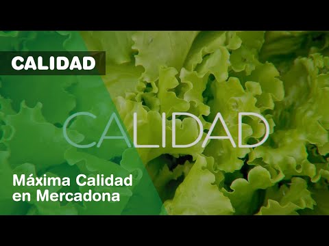 Máxima Calidad en Mercadona