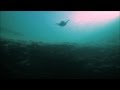 Björk - Gratitude feat. Will Oldham - Music Video ...
