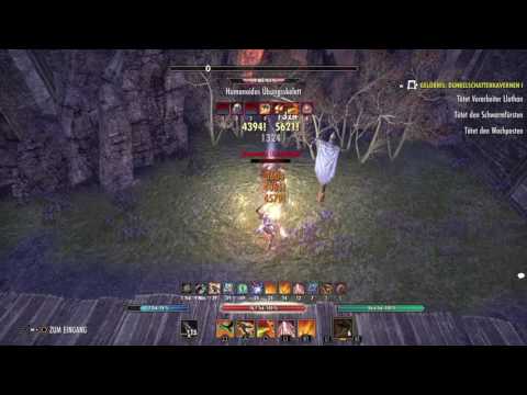 Elder Scrolls Online: DPS Test StamDK, 268CP, PvE, Alcast Venom Build