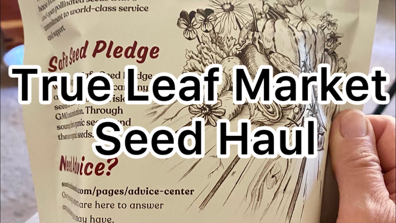 True Leaf Market Seed Haul