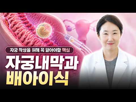 배아이식 성공률 2배 높이려면? 난임 전문의가 보는 착상 조건