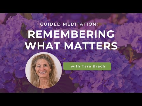 Guided Meditation: Remembering What Matters with Loved Ones - Tara Brach
