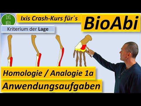 Homologous and analogous organs (homology criteria): Application tasks 1a Explain/Justify Biology...