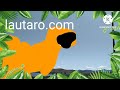Baby Tv Amazing World Animals In Eroupe