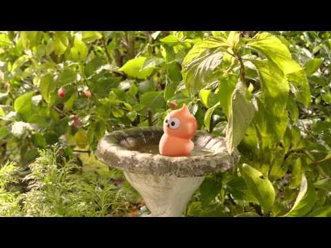 EDF Blue Price Promise - Zingy and the car