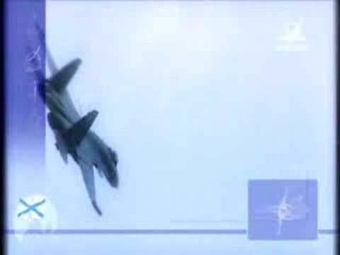 Su-27 Family Knaapo - Su-33