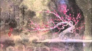 Susumu Yokota - Saku