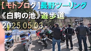 【モトブログ】長野ツーリング《白駒の池》遊歩道 2025.05.03