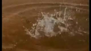 [問卦] 動物會想自殺嗎