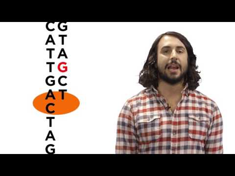 Mechanisms of DNA Damage and Repair