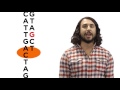 Mechanisms Of DNA Damage And Repair
