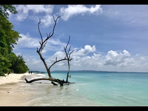 Andaman & Nicobar | Slow motion video | Shot on iPhone | iPhone 7 Slow Motion