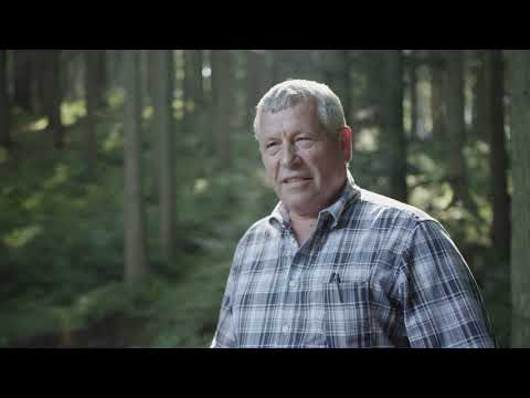 Teil 5: "Dauners kleine Waldschule"