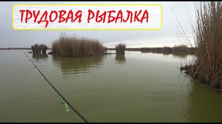 Открытие сезона рыбалки в крыму на пресных водоемах 2020