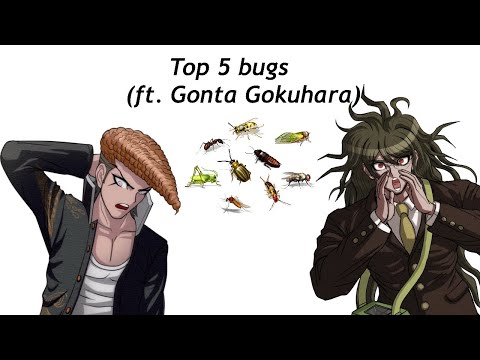Top 5 Bugs (ft. Gonta Gokuhara, of course)