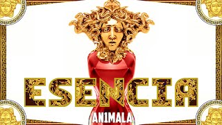 ESENCIA Music Video