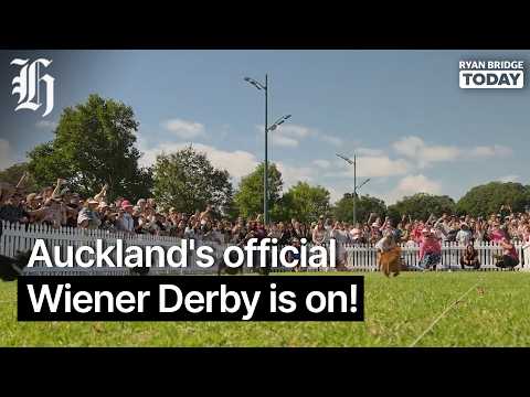 Thumbnail for Auckland's official Wiener Derby is on! | Ryan Bridge TODAY