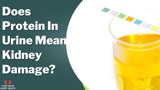 Does protein in urine mean kidney damage? Are bubbles in urine normal?