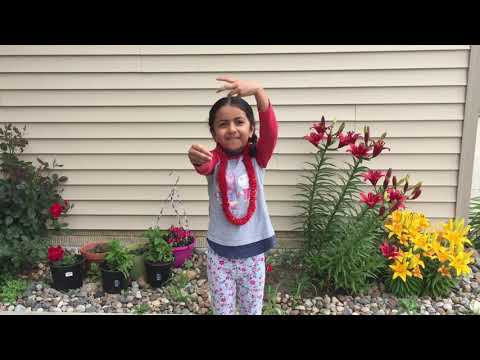 Macarena Count to 100