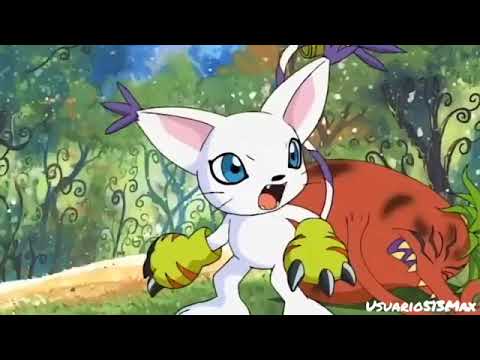 Digimon Adventure   Angewomon Momento