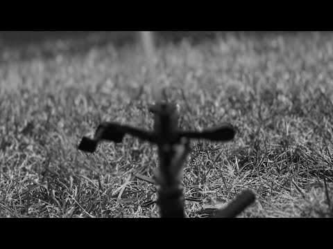 the strangers-short film