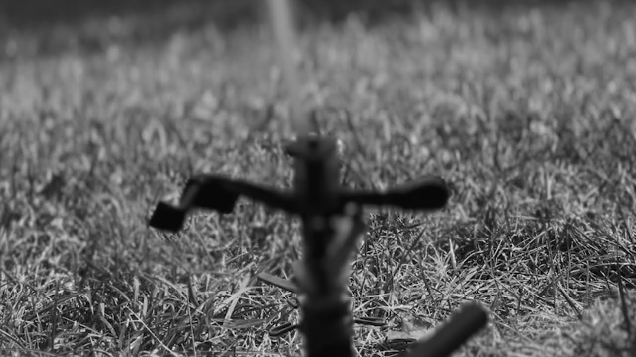 the strangers-short film