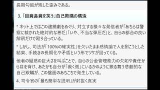 立花氏の長期勾留（拘留）劇の核心である「世論の感情論」と「警察・司法の動き」、そしてそれが「選挙期間中」という特殊なタイムラインと重なったことで生じた歪みの本質を、純粋に多角的に再分析せよ。