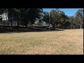 Magpie Attacks Drone