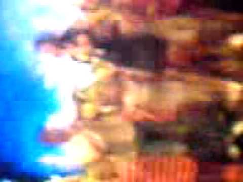 Akeksandra Bankovic (ana) i Aleksa Jelic  - Beli jablan.3GP