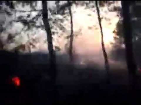 Оккупанты повредили 11 домов, а в Попасной из миномета обстреляли свои позиции.На видео лесной пожар