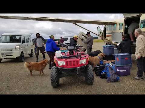 Profile of Ambler Alaska