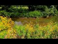 Kill Creek Stream Way Fishing - Unexpected Catch