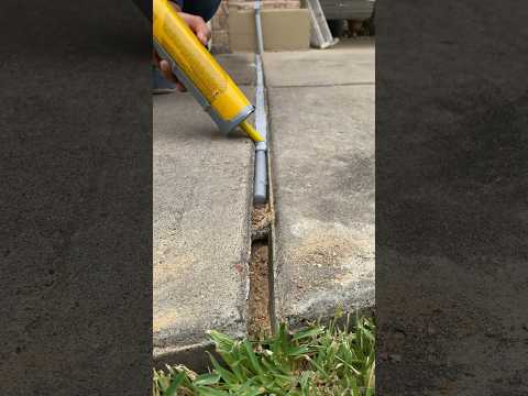Part 2 of 3: using Sikaflex to repair expansion joints #diy #howto #drivewayrepair #homerenovation