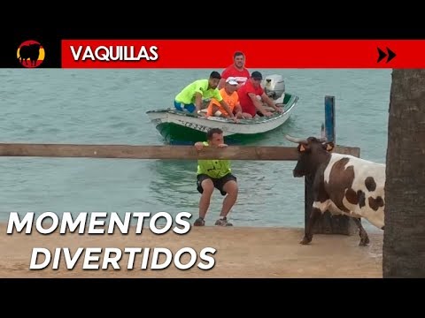 MOMENTOS DIVERTIDOS CON VACAS BRAVAS DEL AÑO 2018 😂😅