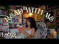 Read With Me For 1 Hour ️ Cozy Rain And Thunder Sounds No Music