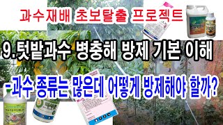 과일나무 재배 초보탈출 프로젝트. 9.텃밭과수 병충해방제 기본 이해-과수 종류는 많은데 어떻게 방제해야할까?…