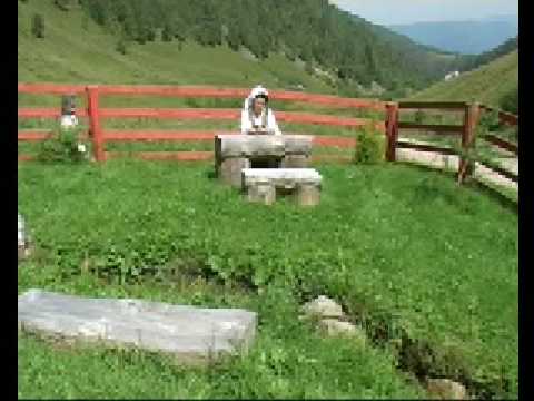 MARIANA DEAC   CODRULE CE TE MANDRESTI